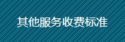 其他服務收費標準
